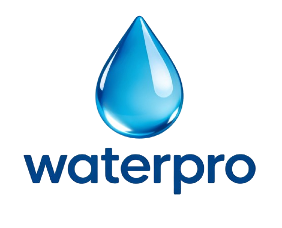 logo removebg preview